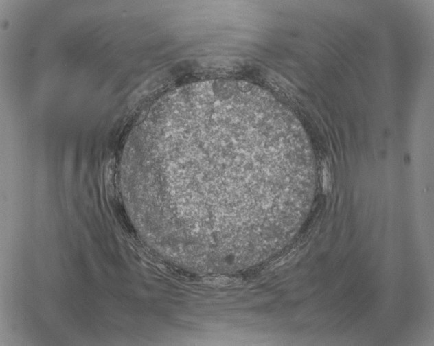 X0000064771059200603131428