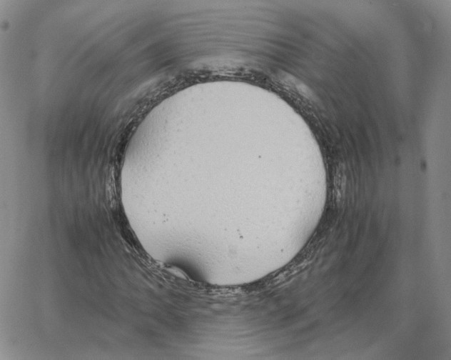 X0000064771062200603131428