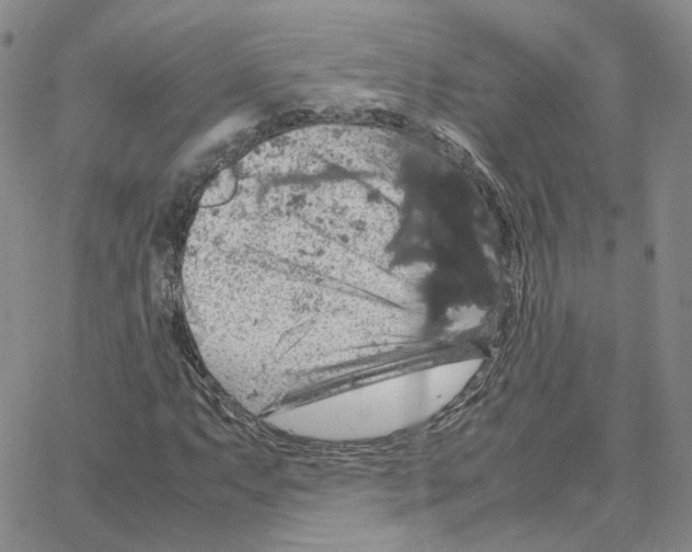 X0000064771063200603131428