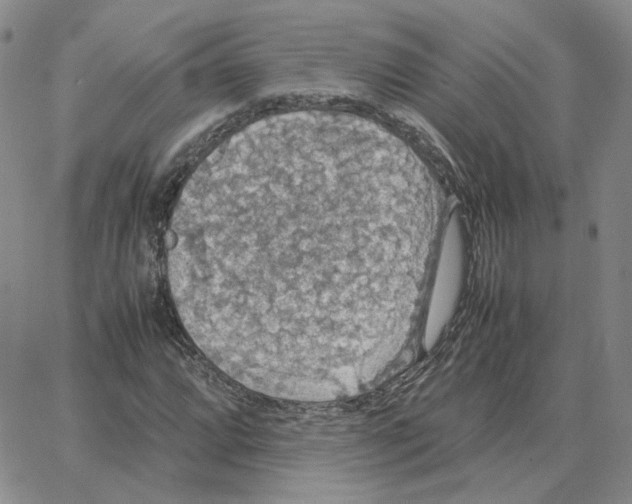 X0000064771064200603131428