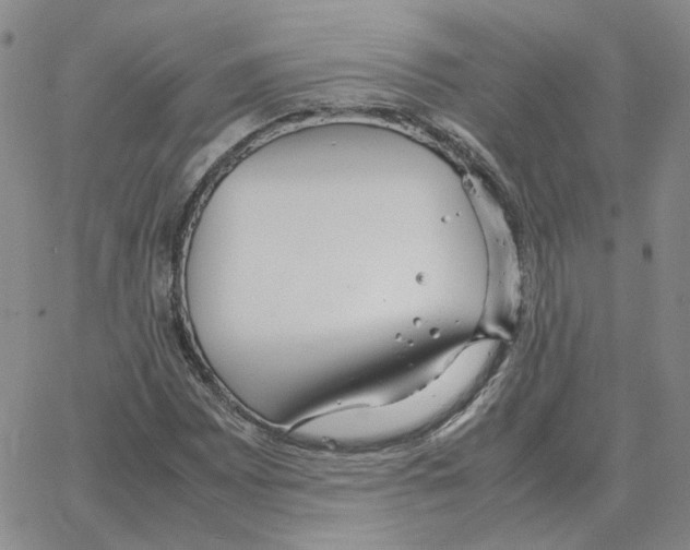 X0000064771065200603131428