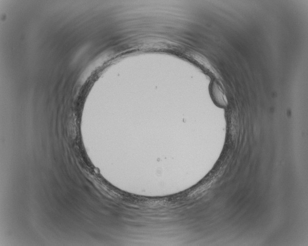 X0000064771067200603131428