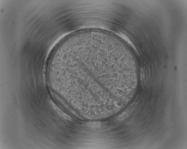 X0000064771068200603131428