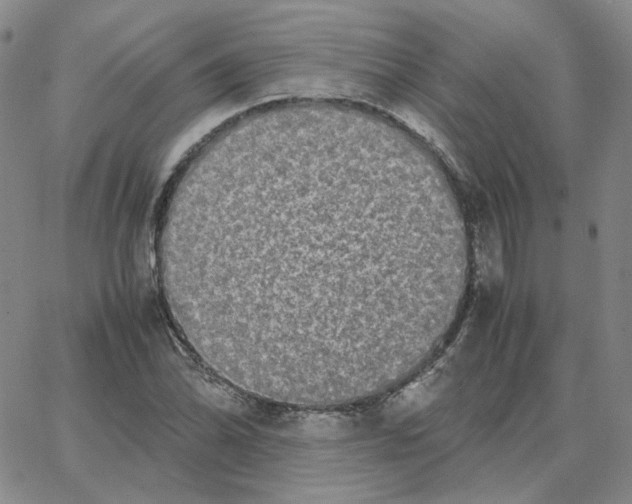 X0000064771070200603131428