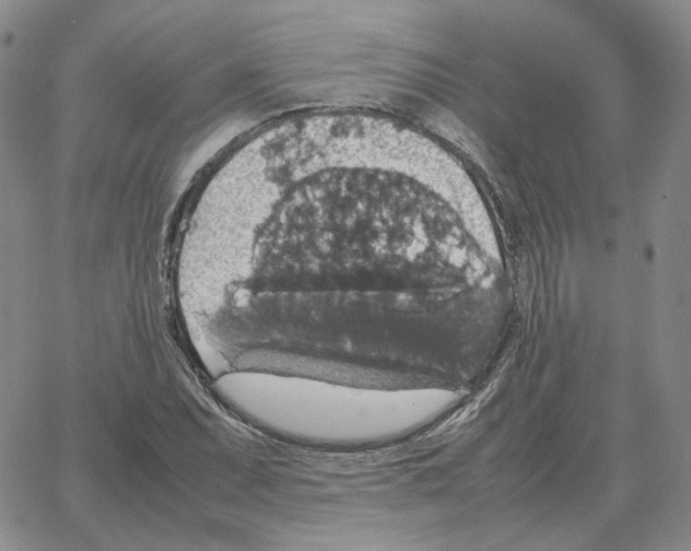 X0000064771071200603131428