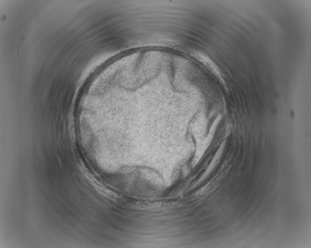 X0000064771072200603131428