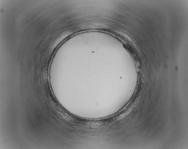 X0000064771073200603131428