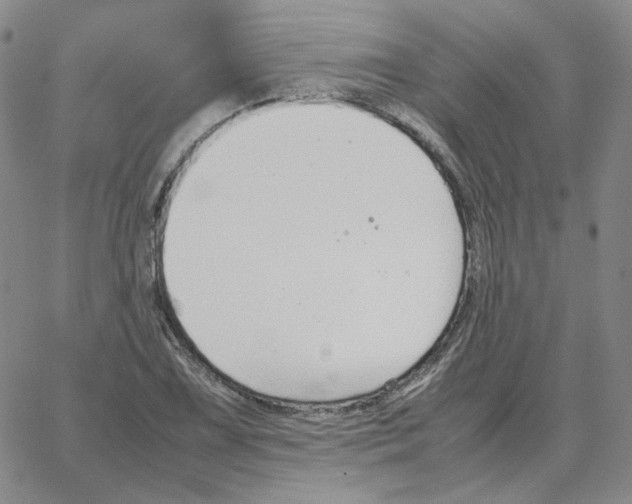 X0000064771075200603131428