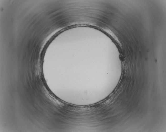 X0000064771076200603131428