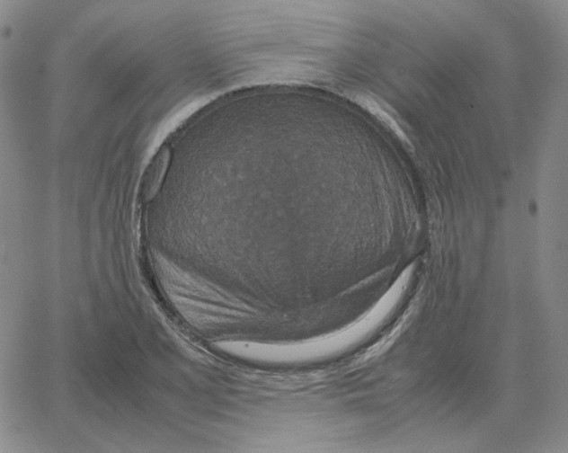 X0000064771077200603131428