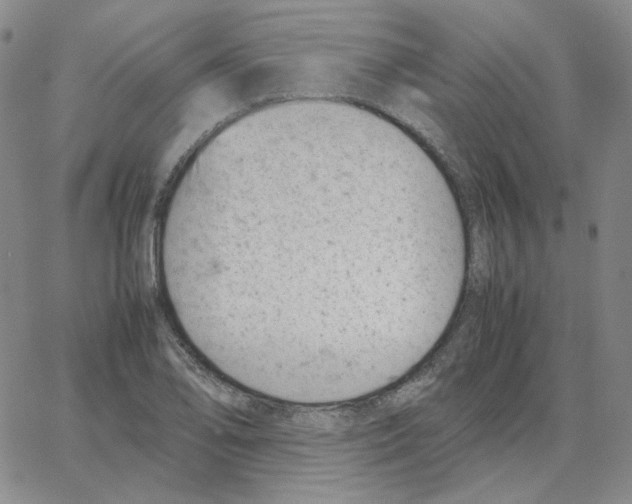 X0000064771078200603131428