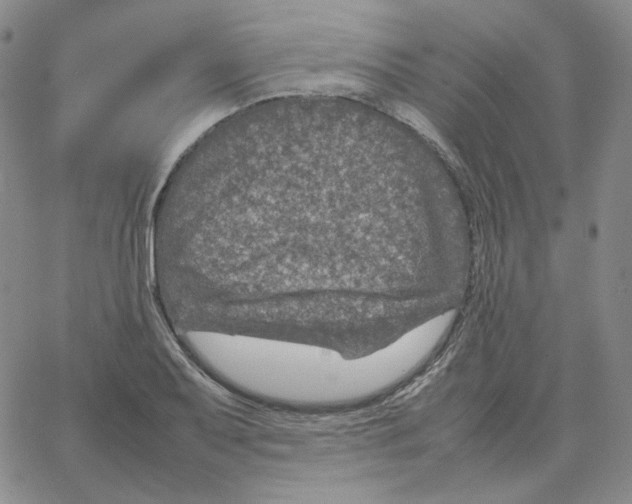 X0000064771079200603131428