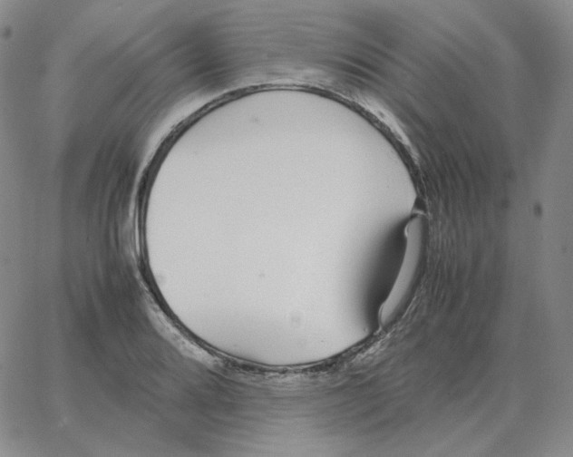 X0000064771080200603131428