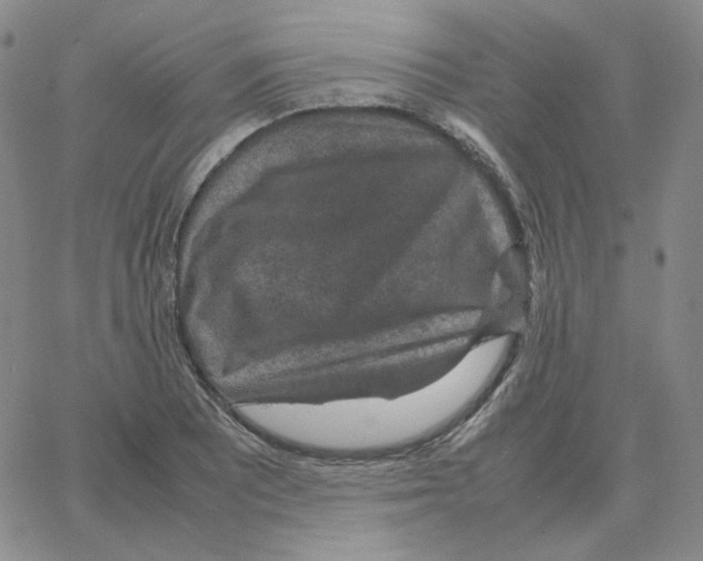 X0000064771081200603131428