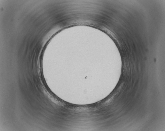 X0000064771082200603131428