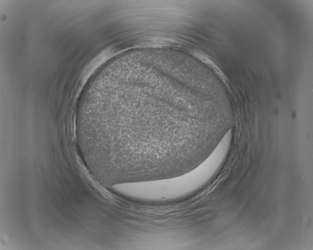 X0000064771083200603131428