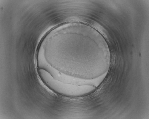 X0000064771084200603131428