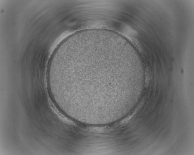 X0000064771086200603131428