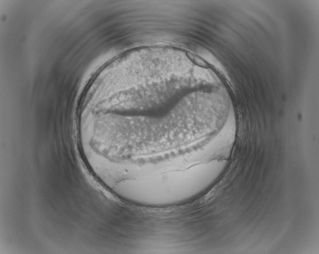 X0000064771088200603131428