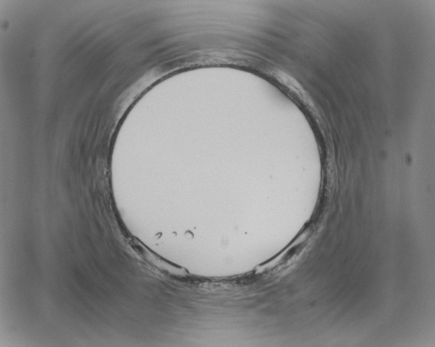 X0000064771089200603131428