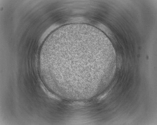 X0000064771094200603131427