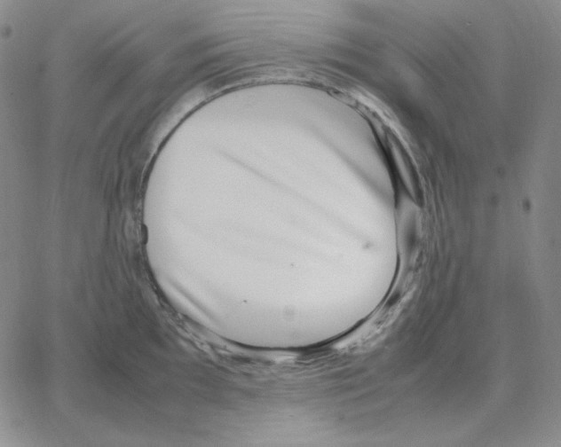 X0000064771097200603131427