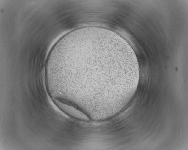 X0000064771100200603131427