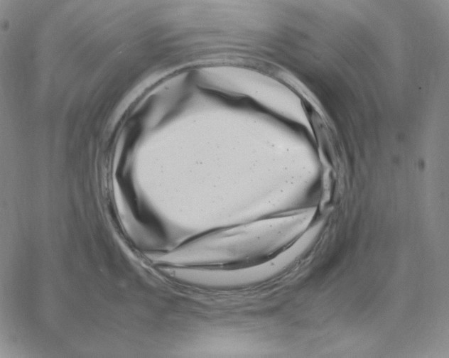 X0000064771101200603131427