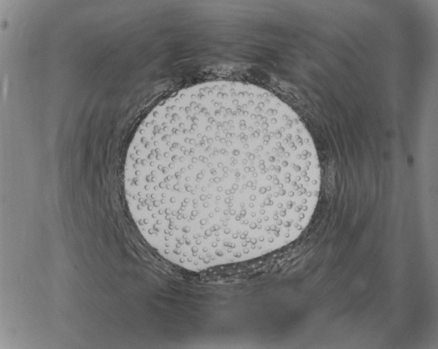 X0000064771105200603131427