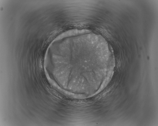 X0000064771106200603131427