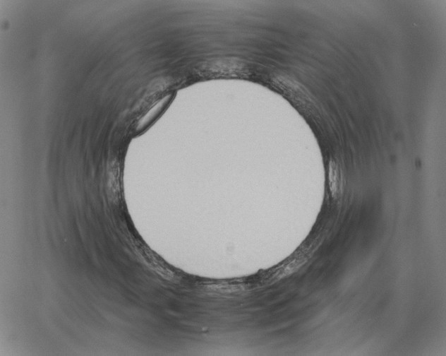 X0000064771107200603131427