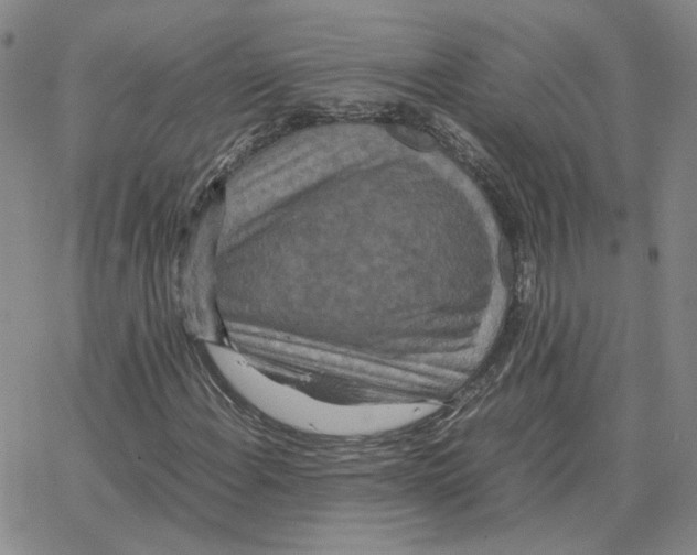 X0000064771108200603131427