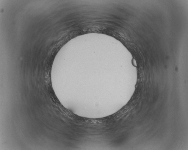 X0000064771109200603131427