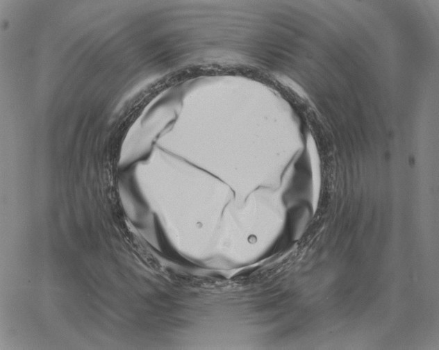 X0000064771112200603131427