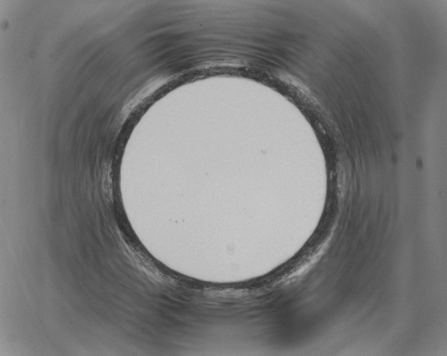 X0000064771113200603131427