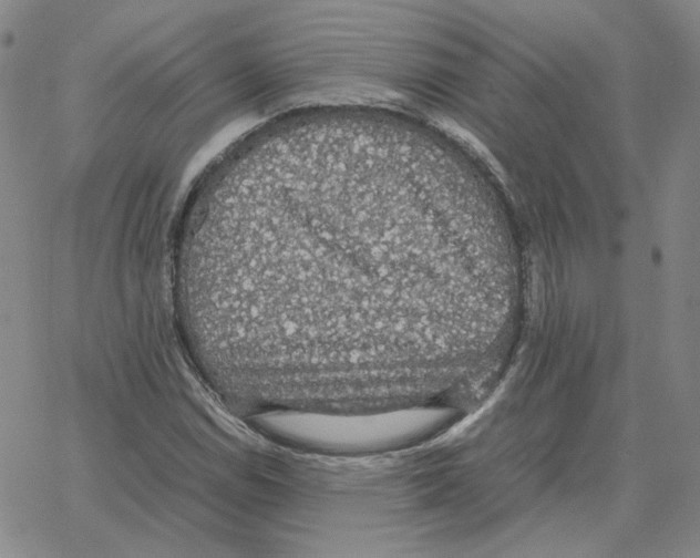 X0000064771114200603131427