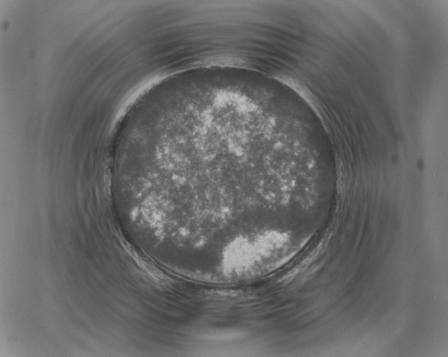 X0000064771115200603131427