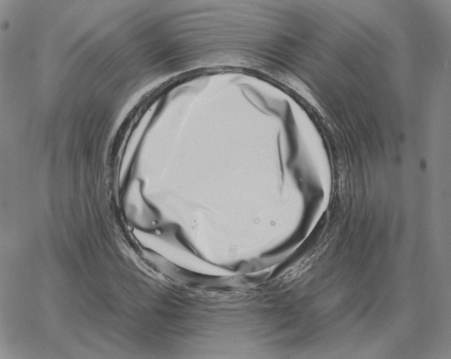 X0000064771116200603131427