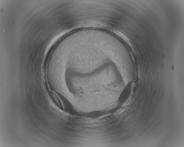 X0000064771120200603131427