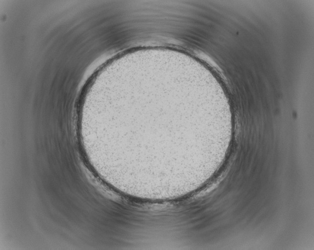 X0000064771122200603131427