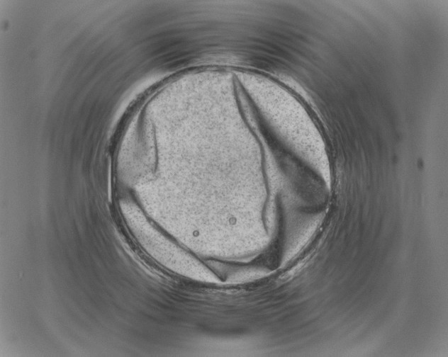 X0000064771123200603131427