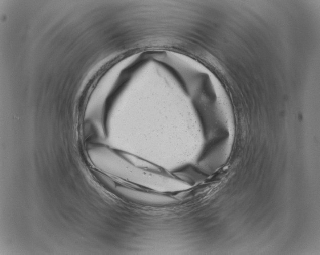 X0000064771124200603131427