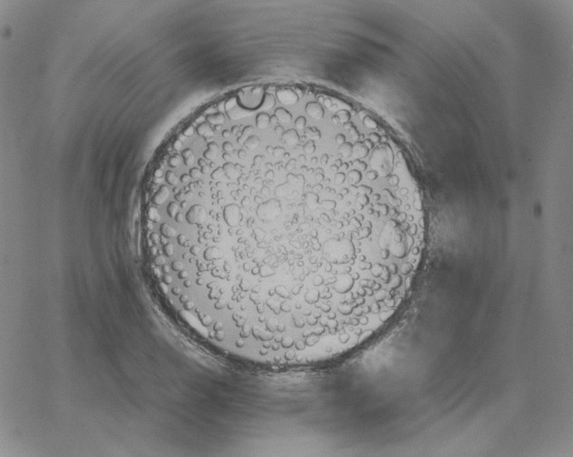 X0000064771126200603131427