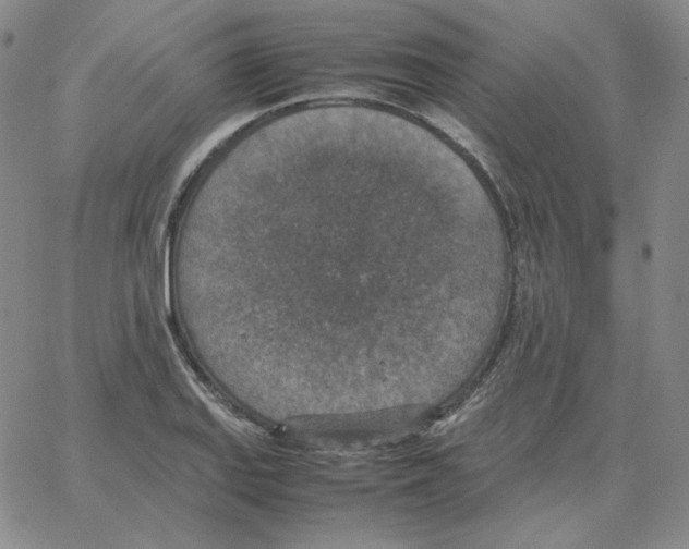 X0000064771127200603131427