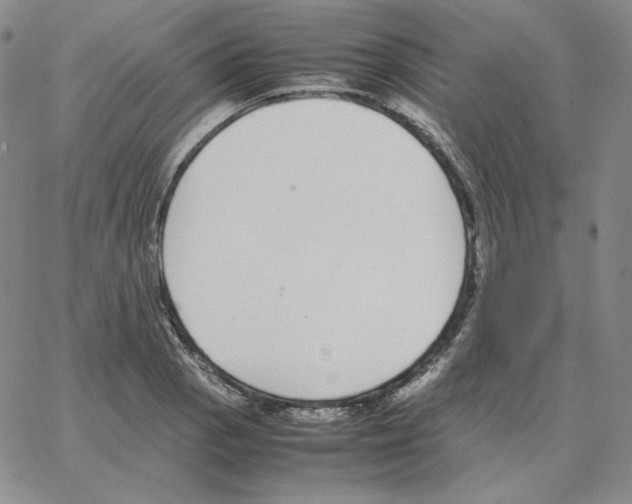 X0000064771129200603131427