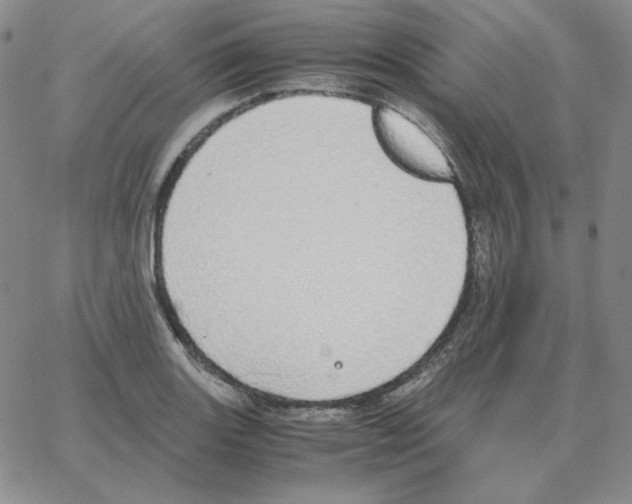 X0000064771131200603131427