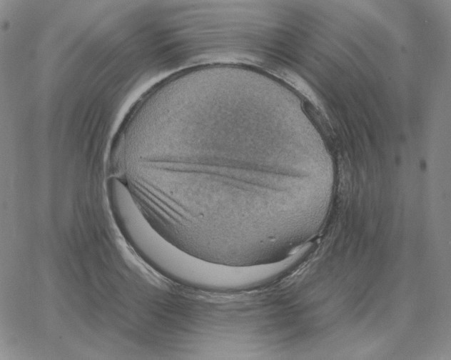 X0000064771132200603131427