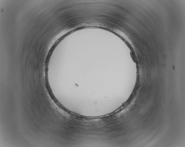 X0000064771133200603131427