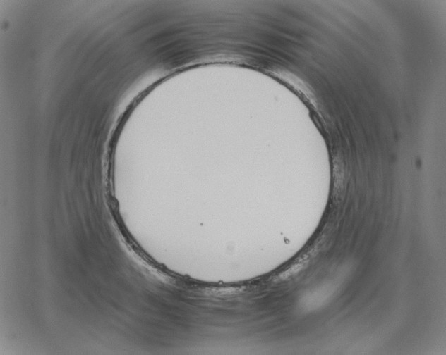 X0000064771135200603131427