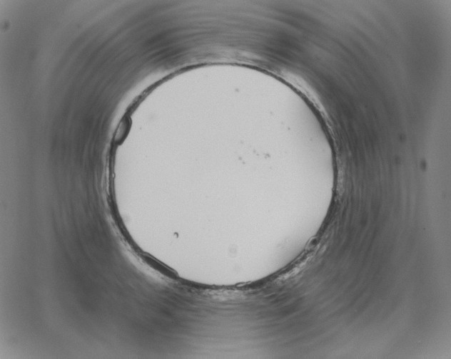 X0000064771136200603131427